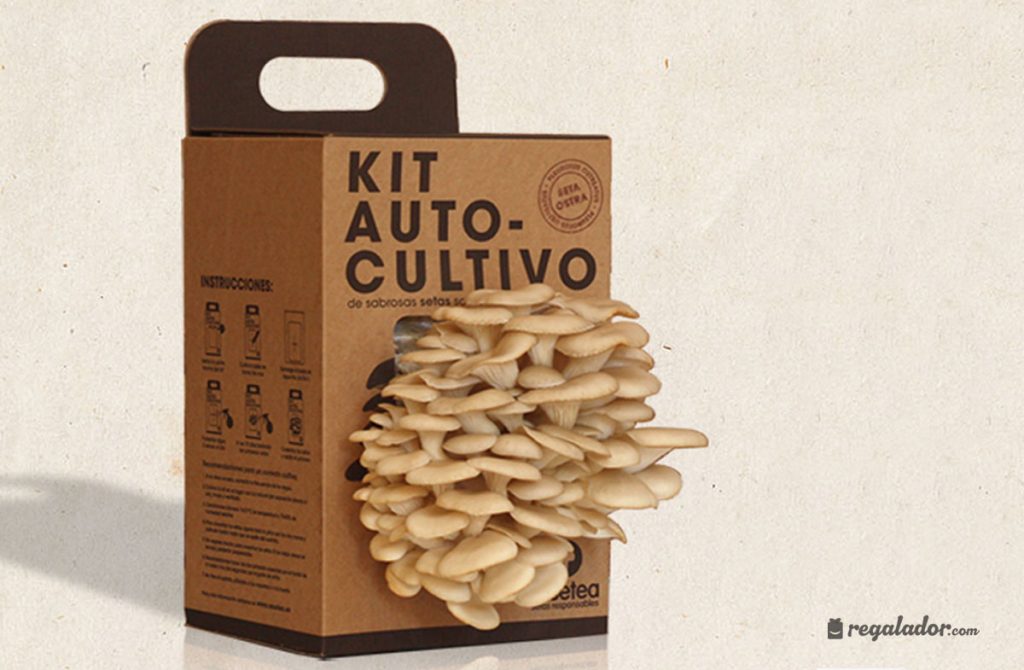 Regalo para persona que le gustan las setas